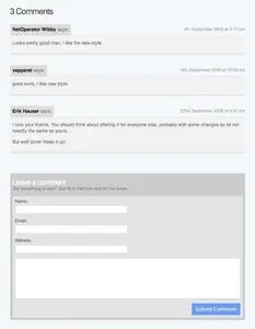 Comments example from edmerritt.com
