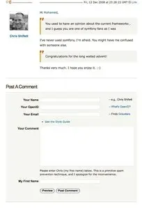 Comments example from shiflett.org