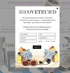 Newsletter sign up example from thecoveteur.com