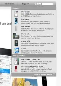 Autocomplete example from apple.com