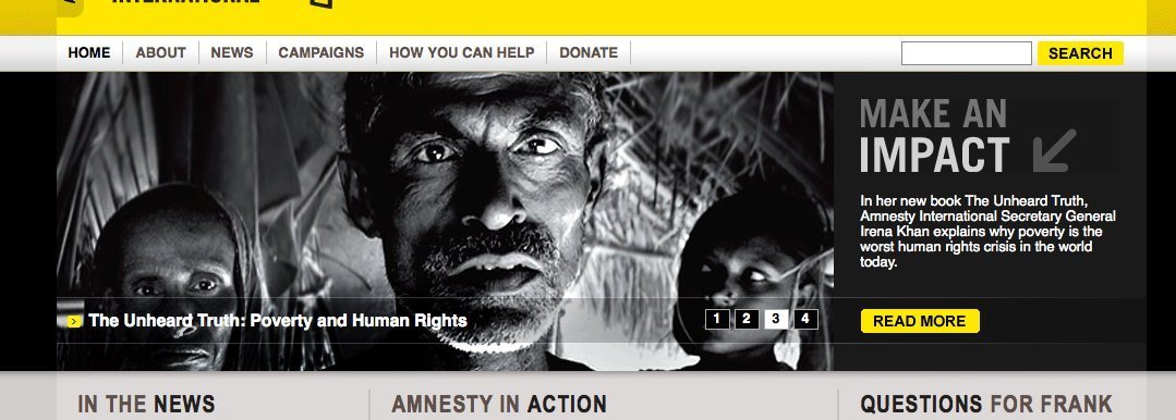 Screenshot of amnesty.org