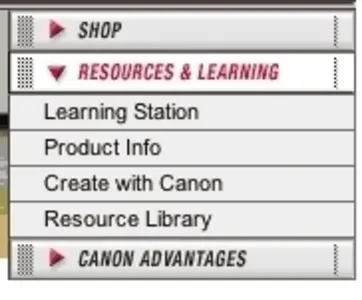 Accordion Menu example