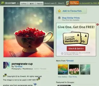 Galleries example from deviantart.com