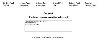 Error pages example from cricketfeet.com