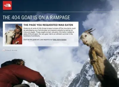 Error pages example from thenorthface.com