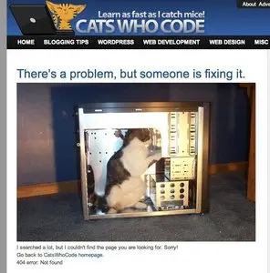 Error pages example from catswhocode.com
