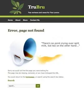 Error pages example from trubru.co.uk