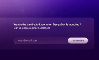 Newsletter sign up example from designsvn.com