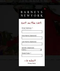 Newsletter sign up example from barneys.com