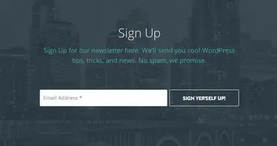 Newsletter sign up example from werkpress.com
