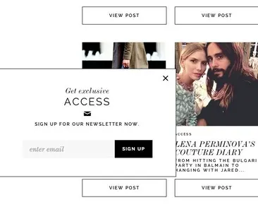 Newsletter sign up example from thecoveteur.com