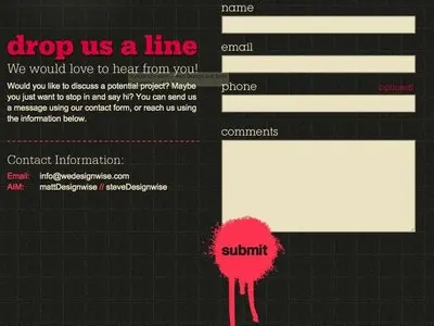 Contact form example from wedesignwise.com