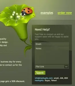 Forms example from markup4u.com