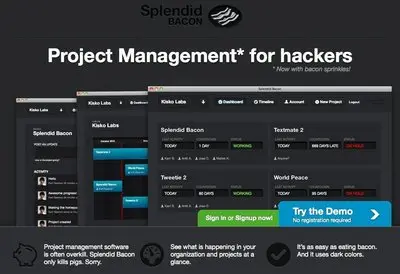 Value propositions example from splendidbacon.com