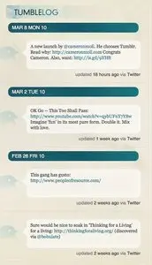 Twitter mashups example from virb.com