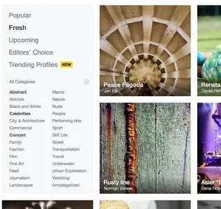 Filter Search example from 500px.com