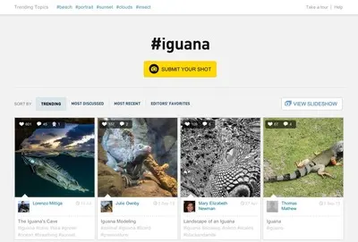 Filter Search example from yourshot.nationalgeographic.com