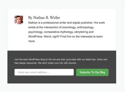 Author boxes example from elegantthemes.com