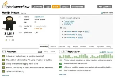 User profile example from stackoverflow.com