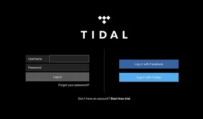 Login forms example from listen.tidal.com