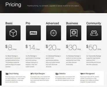 Pricing Tables example from squarespace.com