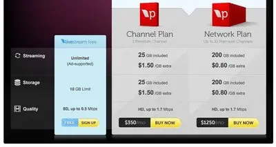 Pricing Tables example from livestream.com