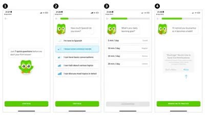 Personalization Form example from duolingo.com