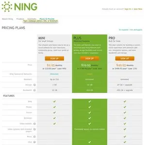 Pricing Tables example from about.ning.com