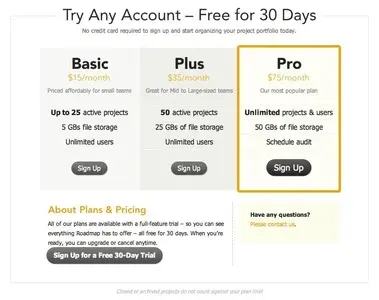 Pricing Tables example from ppmroadmap.com