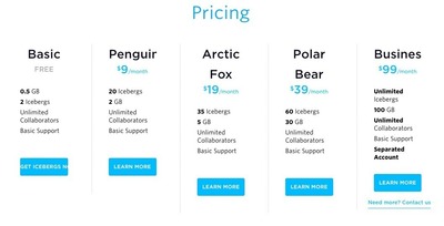 icebergs.com