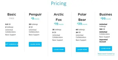 Pricing Tables example from icebergs.com