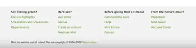 Fat Footer example from haveamint.com
