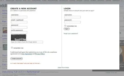 Account Registration example from reddit.com