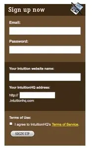 Account Registration example from intuitionhq.com