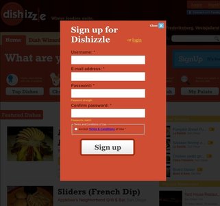 dishizzle.com