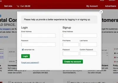 Account Registration example from buysellads.com